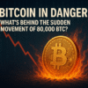 Bitcoin in Danger? The Mysterious Movement of 80,000 BTC Sparks Panic and Theories